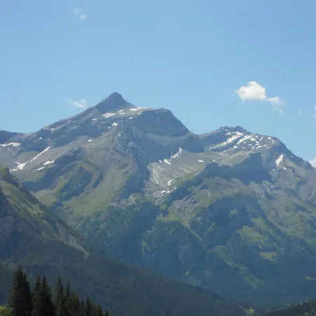 Lägenhet Gschwend *