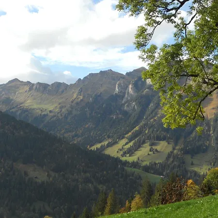 Lägenhet Gschwend *