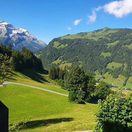 Gschwend Apartment Gsteig