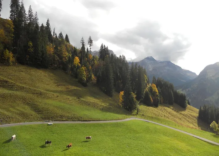 Gschwend Lejlighed Gsteig