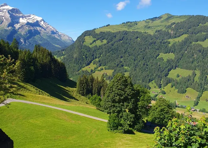 Gschwend Lejlighed Gsteig