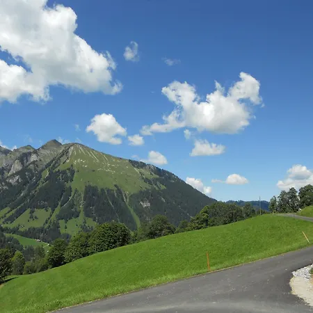 Apartament Gschwend *