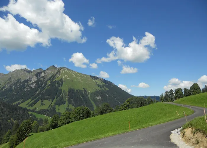 公寓 格施文德波恩旅馆 *